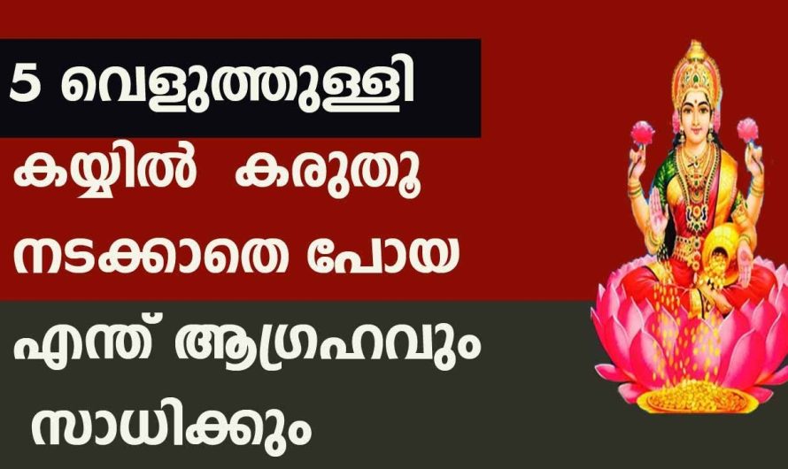 5 വെളുത്തുള്ളിയും അഞ്ചു കുരുമുളകും കയ്യിൽ കരുതിയാൽ നിങ്ങളുടെ നടക്കാതെ പോയ ഏത് ആഗ്രഹങ്ങളും വളരെ സുലഭമായി നടന്നു കിട്ടും…