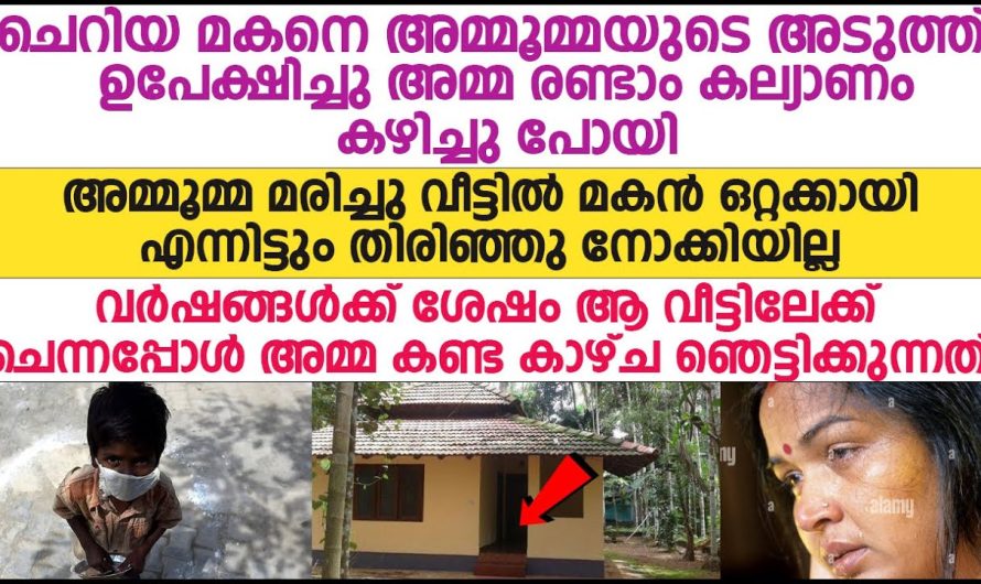 സ്വന്തം മകനെ ഉപേക്ഷിച്ച് രണ്ടാമത് വിവാഹം കഴിച്ച അമ്മയോട് മകൻ ചെയ്തത് കണ്ടോ.. ഇതാണ് പ്രതികാരം…