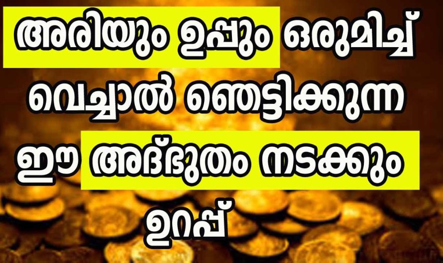 ദിവസങ്ങൾക്കുള്ളിൽ തന്നെ സാമ്പത്തിക ബുദ്ധിമുട്ടുകൾ എല്ലാം മാറ്റി ധനം വർദ്ധിപ്പിക്കാൻ സഹായിക്കുന്ന താന്ത്രിക കർമ്മം…