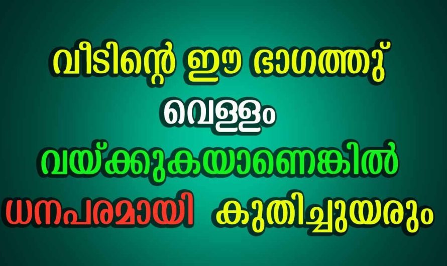 നിങ്ങളുടെ വീടിൻറെ ഇത്തരം സ്ഥാനങ്ങളിൽ ജലസാന്നിധ്യം ഉണ്ടെങ്കിൽ വീട്ടിലേക്ക് ഐശ്വര്യങ്ങളും സൗഭാഗ്യങ്ങളും കടന്നു വരും..