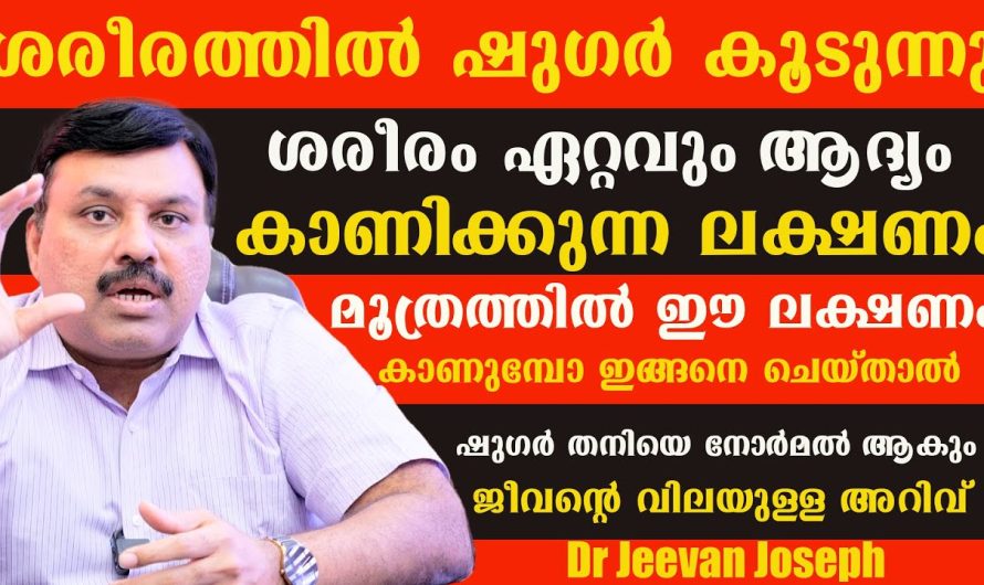 പ്രമേഹ രോഗത്തിന്റെ മൂന്ന് പ്രധാനപ്പെട്ട ഘട്ടങ്ങളും അതുമായി ബന്ധപ്പെട്ട ചികിത്സാ രീതികളും…