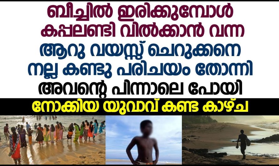 ബീച്ചിൽ കപ്പലണ്ടി വിറ്റു നടക്കുന്ന ആറു വയസ്സുകാരൻ യഥാർത്ഥത്തിൽ ആരാണ് എന്ന് അറിഞ്ഞപ്പോൾ എല്ലാവരും ഞെട്ടിപ്പോയി…