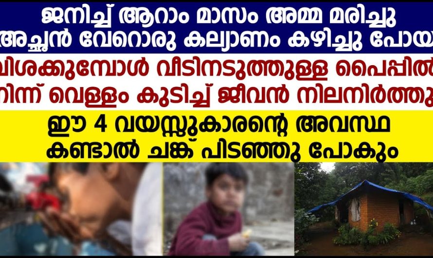 തന്റെ വീട്ടിലെ പണിക്കാരായ വയസ്സായ അമ്മൂമ്മയോടും അവരുടെ പേര കുട്ടിയോടും വീട്ടിലെ മരുമകൾ ചെയ്തത് കണ്ടോ…