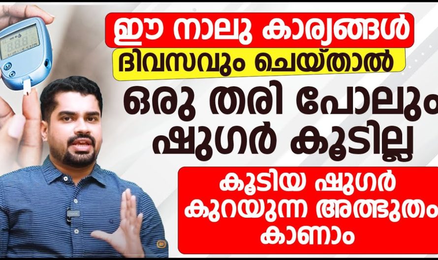 പ്രമേഹ രോഗികളായ വ്യക്തികൾ പാലിക്കേണ്ട ജീവിതക്രമങ്ങൾ.. ഈ നാല് കാര്യങ്ങൾ ശ്രദ്ധിച്ചാൽ ഷുഗർ ലെവൽ കൺട്രോൾ ആയിരിക്കും..