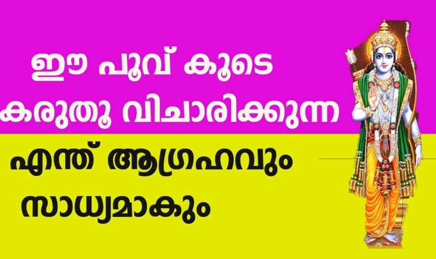 നിങ്ങളുടെ മനസ്സിലുള്ള ഏത് ആഗ്രഹങ്ങളും എളുപ്പത്തിൽ സാധ്യമാവാൻ ഈ പൂവ് കൂടെ കരുതിയാൽ മതി…