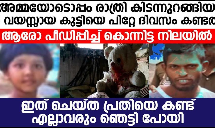 വീട്ടിൽ നിന്നും കാണാതായ അഞ്ചുവയസ്സുകാരി ആയ പെൺകുട്ടിക്ക് സംഭവിച്ച ക്രൂരത കണ്ടോ…