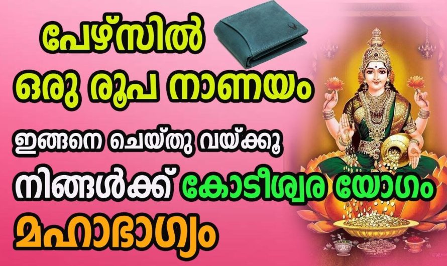 നിങ്ങൾ പേഴ്സ് ഉപയോഗിക്കുന്നത് ശരിയായ രീതിയിൽ അല്ലെങ്കിൽ നിങ്ങൾക്ക് വലിയ രീതിയിൽ സാമ്പത്തിക ബുദ്ധിമുട്ടുകൾ ഉണ്ടാകും..