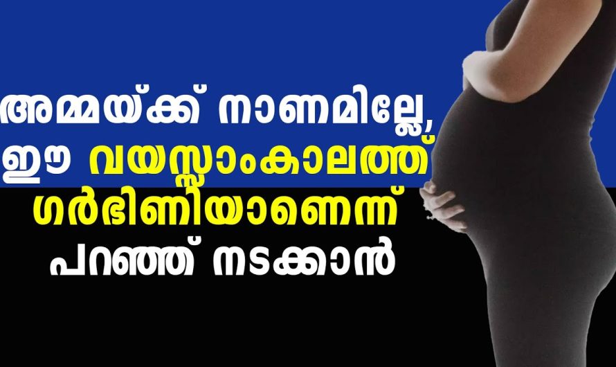 മകൾ ഗർഭിണിയായ സമയത്ത് തന്നെ അമ്മയും ഗർഭം ധരിച്ചപ്പോൾ ഈ മകൾ ചെയ്തത് കണ്ടോ…