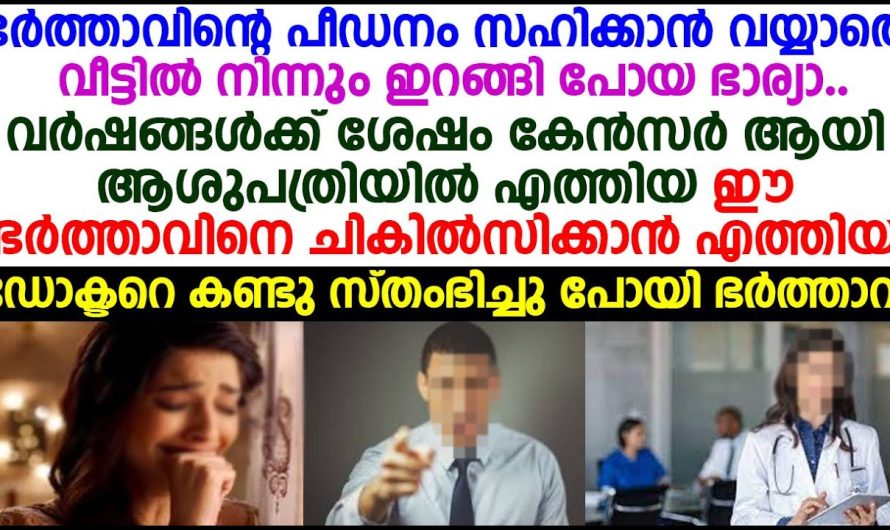 തങ്ങളുടെ സുഹൃത്ത് പ്രതീക്ഷിക്കാതെ ആക്സിഡന്റിൽ മരണപ്പെട്ടു പോയപ്പോൾ സംഭവിച്ചത് കണ്ടോ…