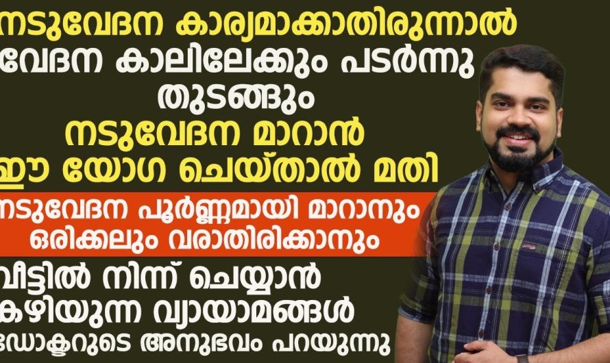 ഭാവിയിൽ നടുവേദനകൾ വരാതിരിക്കാൻ ആയിട്ടും ഉള്ള നടുവേദനകൾ മാറാനും വീട്ടിൽ ചെയ്യാൻ കഴിയുന്ന വ്യായാമങ്ങൾ…