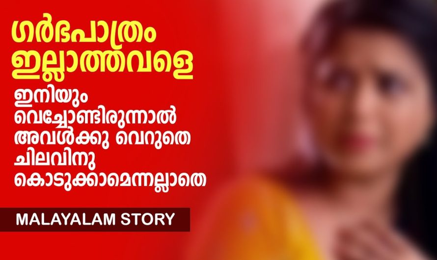 സ്വന്തം ഭാര്യക്ക് അസുഖത്തിന്റെ ഭാഗമായിട്ട് അവളുടെ യൂട്രസ് റിമൂവ് ചെയ്യേണ്ടി വന്നപ്പോൾ ഈ ഭർത്താവ് അവളോട് ചെയ്തത് കണ്ടോ…