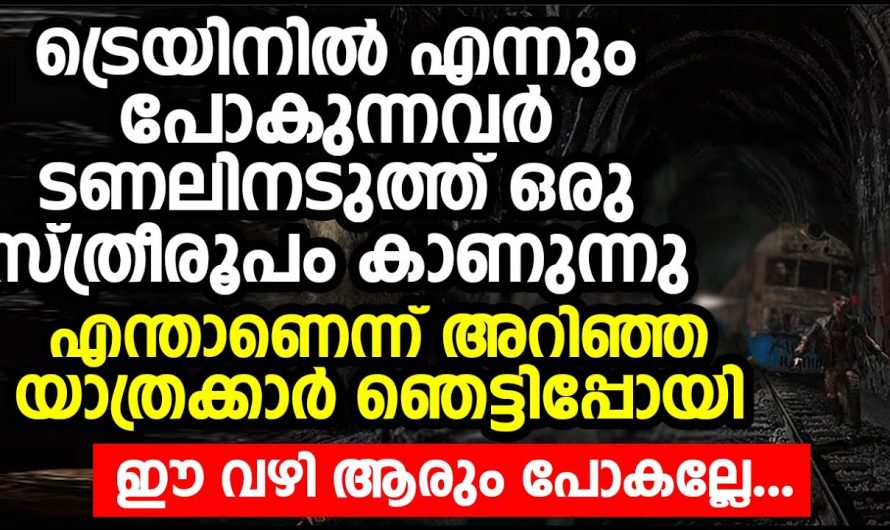 ഒരുപാട് നിഗൂഢതകൾ നിറഞ്ഞതും ആളുകളെ എല്ലാം ഭയപ്പെടുത്തുന്ന ജപ്പാനിലെ കിയോ ടാക്കി ടണൽ..