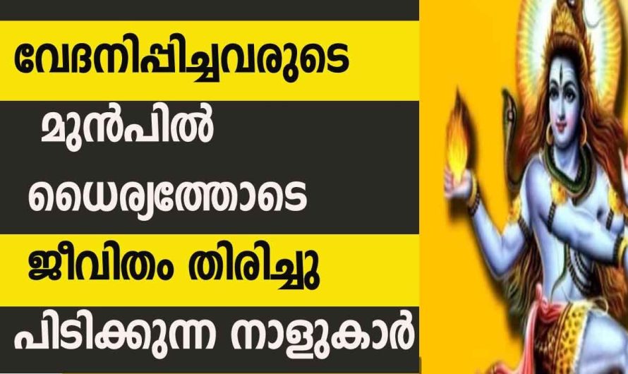 കോടീശ്വര യോഗം വന്ന് ചേരുന്ന നക്ഷത്രക്കാർ.. ഇവരെ വേദനിപ്പിച്ചവരെല്ലാം ഇനി ഇവരെ ഓർത്ത് അഭിമാനിക്കും..