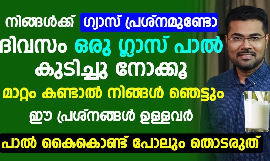 പാൽ അലർജി ഉണ്ടാക്കുന്ന ഒരു വസ്തു ആണോ.. ഇത് ദിവസം കുടിക്കുന്നത് മൂലം എന്തെങ്കിലും ബുദ്ധിമുട്ട് ഉണ്ടോ.. വിശദമായ അറിയാം..