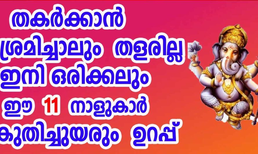 ആരൊക്കെ ജീവിതത്തിൽ തകർക്കാൻ ശ്രമിച്ചാലും പരാജയപ്പെടുത്താൻ ശ്രമിച്ചാലും ഒരിക്കലും കീഴടങ്ങാത്ത പതിനൊന്ന് നക്ഷത്രക്കാർ…