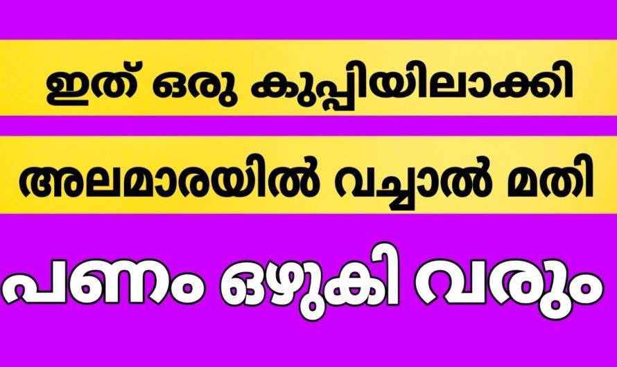 ജീവിതത്തിലെ ദാരിദ്ര്യങ്ങളും അതുപോലെ സാമ്പത്തിക ബുദ്ധിമുട്ടുകളും മാറിക്കിട്ടാൻ നിങ്ങളുടെ അലമാരയിൽ ഈ പറയുന്ന കർമ്മം ചെയ്താൽ മതി…