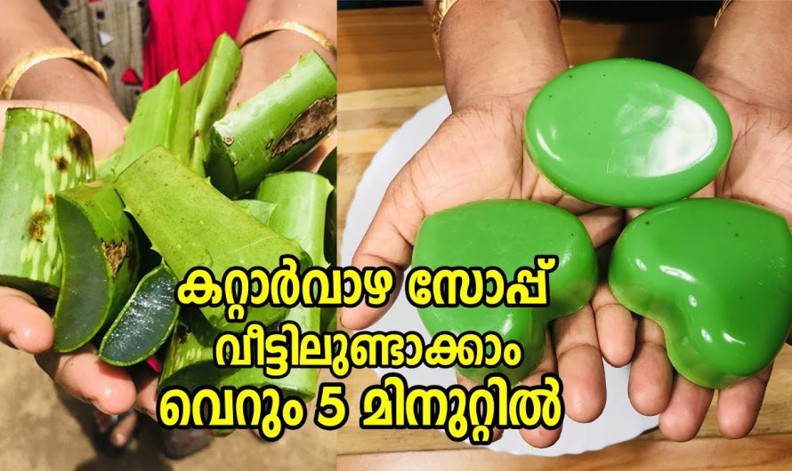 ഔഷധഗുണമുള്ള സ്കിന്നിന് കൂടുതൽ ആരോഗ്യം നൽകുന്ന കറ്റാർവാഴ സോപ്പ് ഇനി ആർക്കും വീട്ടിൽ എളുപ്പത്തിൽ തയ്യാറാക്കാം…