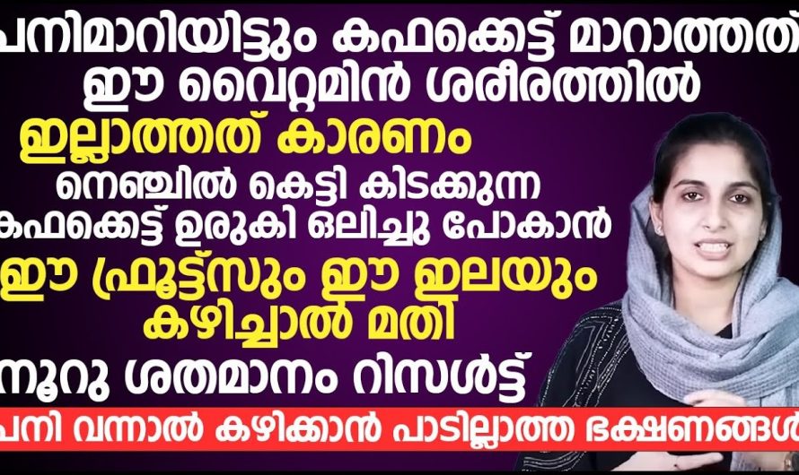 ക്ലൈമറ്റ് മൂലം ഉണ്ടാകുന്ന പനി കഫക്കെട്ട് തുടങ്ങിയ പ്രശ്നങ്ങളെ നമുക്ക് എങ്ങനെ മാനേജ് ചെയ്യാം.. വിശദമായി അറിയാം..