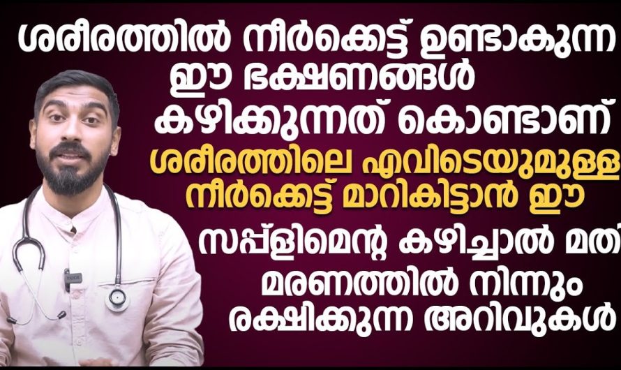 ശരീരത്തിൽ ഈ പറയുന്ന വൈറ്റമിൻസ് കുറഞ്ഞു പോയാൽ അത് നിങ്ങളുടെ നാഡികൾക്ക് തകരാറുകൾ ഉണ്ടാക്കും.. വിശദമായി അറിയാം..