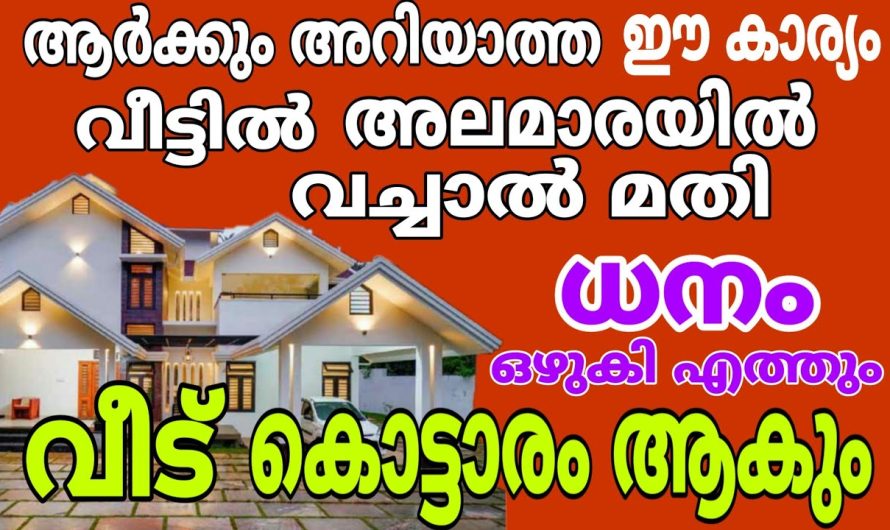 ജീവിതത്തിലെ സാമ്പത്തികമായ പ്രശ്നങ്ങൾ എല്ലാം മാറാനും സമ്പൽസമൃതി ഉണ്ടാകാനും വീട്ടിൽ ചെയ്യാൻ കഴിയുന്ന ഒരു താന്ത്രിക കർമ്മം…