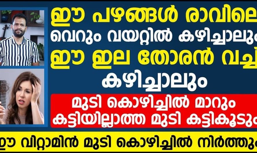 മുടികൊഴിച്ചിൽ പ്രശ്നം പൂർണമായും പരിഹരിക്കാൻ ഭക്ഷണരീതിയിൽ വരുത്തേണ്ട മാറ്റങ്ങളെക്കുറിച്ച് മനസ്സിലാക്കാം..