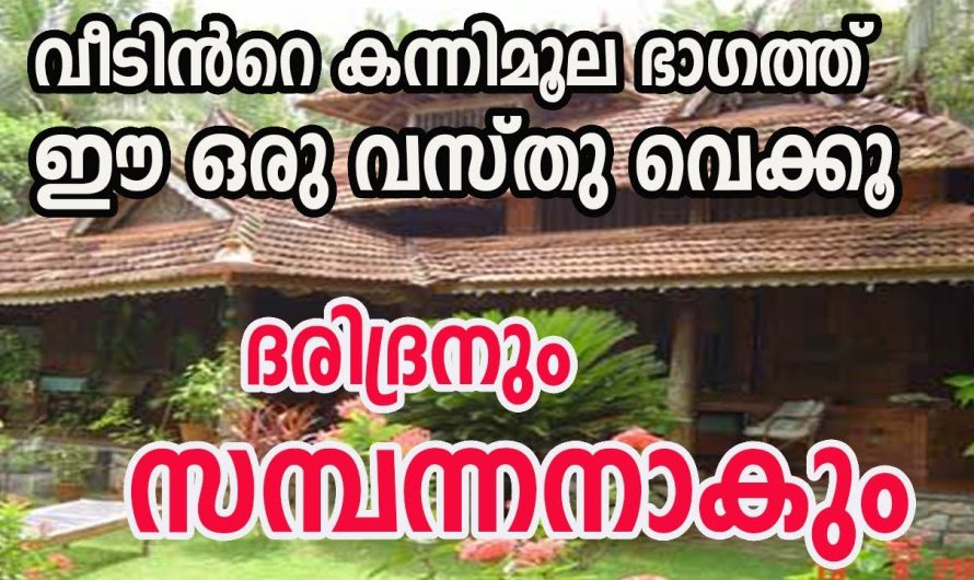 വീടിൻറെ കന്നിമൂല ഈ പറയുന്ന രീതിയിൽ അല്ലാ സൂക്ഷിക്കുന്നത് എങ്കിൽ ദുഃഖങ്ങളും ദുരിതങ്ങളും വിട്ടൊഴിയില്ല…