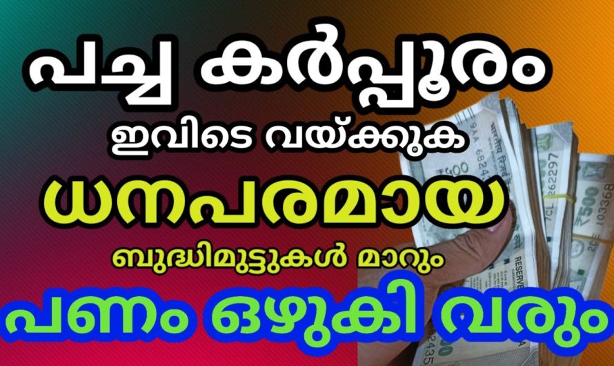 എത്ര മോശമായ സാമ്പത്തിക സ്ഥിതിയും മെച്ചപ്പെടുത്താൻ 3 പച്ചക്കർപൂരം കൊണ്ട് ഈ ഒരു താന്ത്രിക കർമ്മം ചെയ്താൽ മതി…