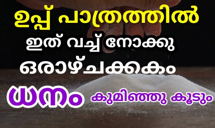 നിങ്ങളുടെ വീട്ടിലെ ഉപ്പുപാത്രത്തിന്റെ താഴെ ഈ പറയുന്ന ഒരു വസ്തു വച്ചാൽ വീട്ടിലെ സാമ്പത്തിക സ്ഥിതി വളരെയധികം മെച്ചപ്പെടും…