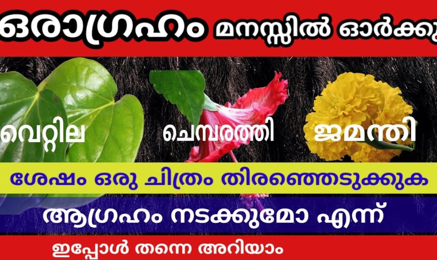 നിങ്ങളുടെ മനസ്സിലുള്ള ആഗ്രഹങ്ങളെല്ലാം യാതൊരു തടസ്സങ്ങളും കൂടാതെ നടന്നു കിട്ടാൻ സഹായിക്കുന്ന തൊടുകുറി ശാസ്ത്രത്തെ കുറിച്ച് അറിയാം…