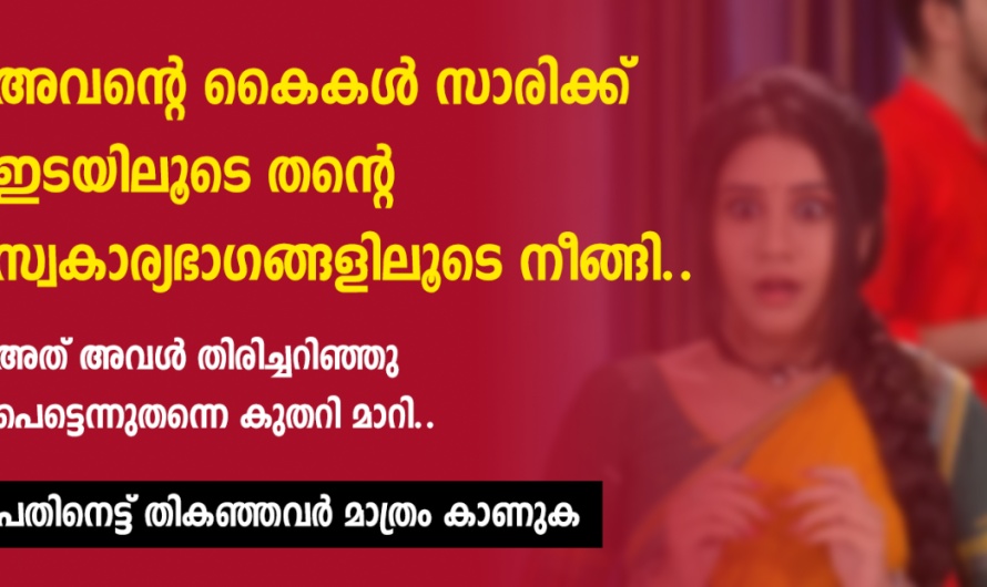 സ്വന്തം മകനെപ്പോലെ കരുതിയ ചേച്ചിയോട് അയൽ വീട്ടിലെ പയ്യൻ ചെയ്തത് കണ്ടോ…