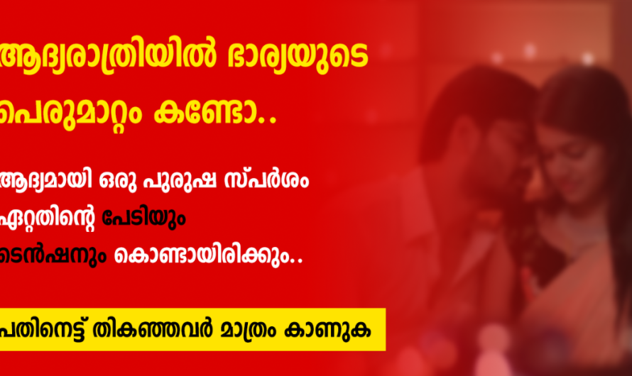 ആദ്യരാത്രിയിൽ ഭർത്താവിനെ കണ്ട് ഭയന്ന ഭാര്യാ ചെയ്തത് കണ്ടോ…