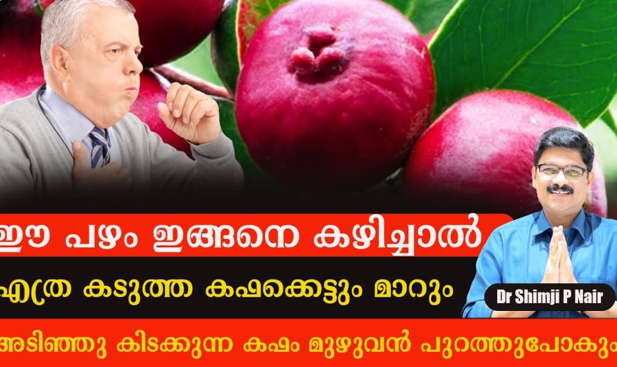 എത്ര കടുത്ത കഫക്കെട്ടും മാറും! അടിഞ്ഞു കിടക്കുന്ന കഫം മുഴുവൻ പുറത്തേക്ക് പോകും!