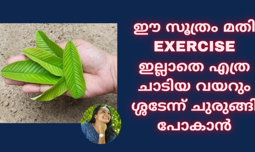 കുടവയറും തടിയും അരക്കട്ടിലെ കൊഴുപ്പും കുറയാൻ ഇതിലും വലിയ മാർഗം ഇനി വേറെയില്ല!