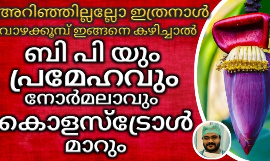 ബിപി എന്നും നോർമലായി ഇരിക്കണോ? ഈ ഭക്ഷണങ്ങൾ കഴിച്ചാൽ മാത്രം മതി!