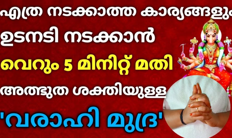 അൽഭുത ശക്തിയുള്ള വരാഹി മുദ്ര രഹസ്യം! ഒറ്റതവണ ജപിച്ചാൽ കാര്യസാദ്യം ഉറപ്പ്!