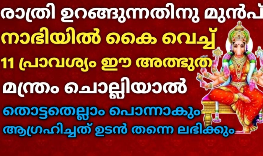 വരാഹിദേവിയുടെ അത്ഭുത മന്ത്രം രാത്രി ഉറങ്ങുന്നതിനു മുൻപ് നാബിയിൽ കൈവെച്ച് ഈ മന്ത്രം ചൊല്ലിയാൽ…