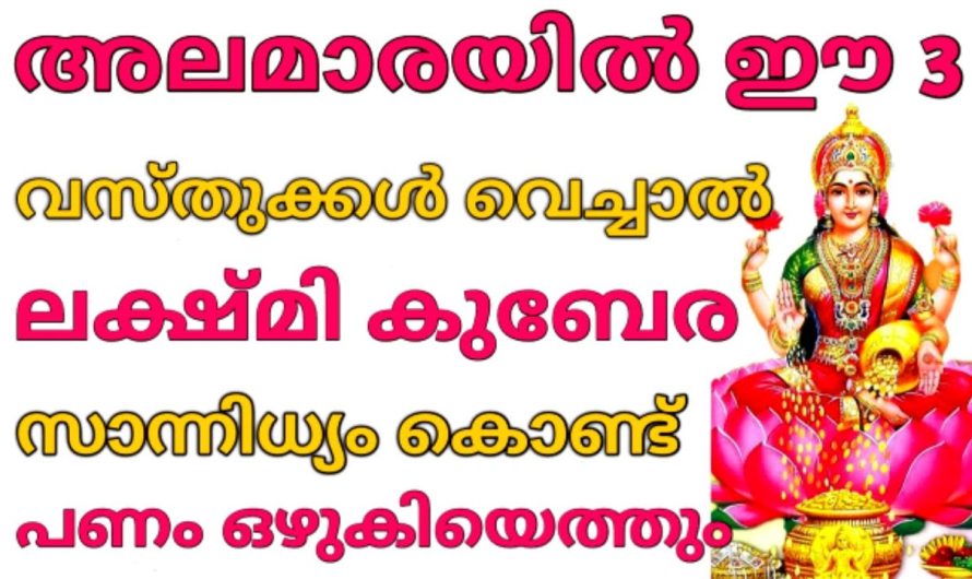 ലക്ഷ്മി ദേവിയുടെ സാന്നിധ്യം കൊണ്ട് പണം ഒഴുകിയെത്തും ഇങ്ങനെ ചെയ്താൽ!