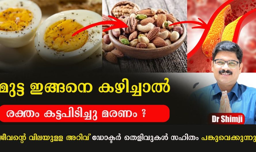 മുട്ട ഇങ്ങനെ കഴിച്ചാൽ രക്തം കട്ടപിടിച്ച് മരണമോ? തെളിവുകൾ സഹിതം ഡോക്ടർ പങ്കുവയ്ക്കുന്നു!