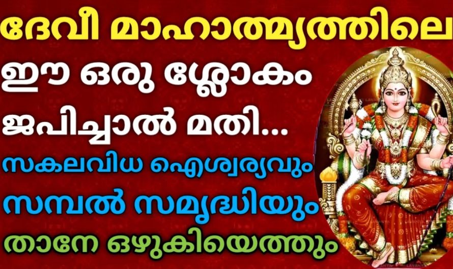 ദേവി മാഹാത്മ്യത്തിലെ ഈ ഒരു ഒറ്റ ശ്ലോകം ജപിച്ചാൽ മാത്രം മതി. ഐശ്വര്യവും സമ്പൽസമൃദ്ധിയും ഒഴുകിയെത്തും!