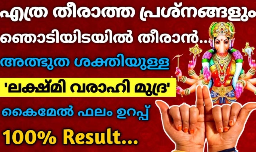 ലക്ഷ്മി വരാഹി മുദ്ര ചെയ്താൽ… ആഗ്രഹിച്ചത് ജീവിതത്തിൽ അതുപോലെതന്നെ നടക്കും!!!