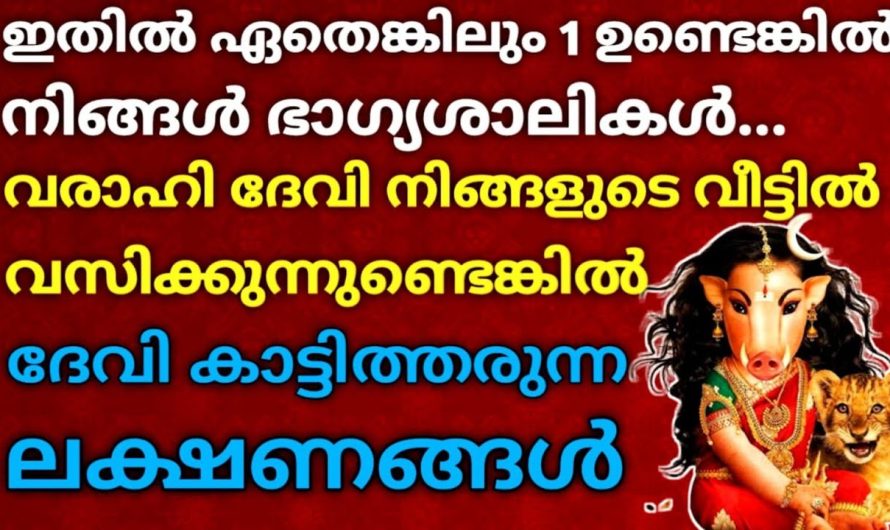 ഈ ലക്ഷണങ്ങൾ നിങ്ങളുടെ വീടുകളിൽ ഉണ്ടോ? വരാഹിദേവിയുടെ സാന്നിധ്യം എപ്പോഴും ഉണ്ടാകും!