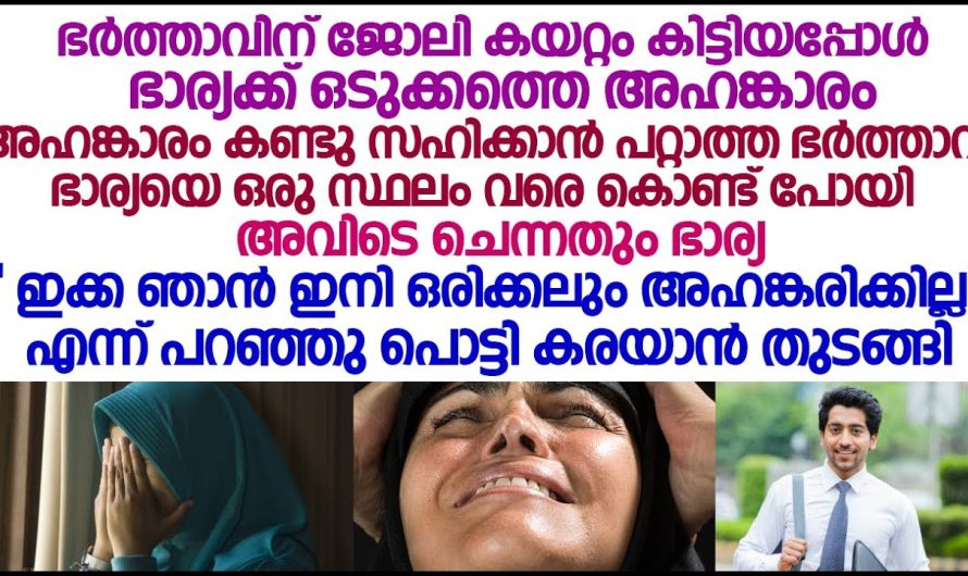 സ്വന്തം ഭാര്യയുടെ അഹങ്കാരം കണ്ടു സഹിക്കാൻ പറ്റാത്ത ഭർത്താവ് ഭാര്യയെ ഒരു സ്ഥലം വരെ കൊണ്ടുപോയി. അവിടെ ചെന്നതും ഭാര്യ ചെയ്തതു കണ്ടോ…