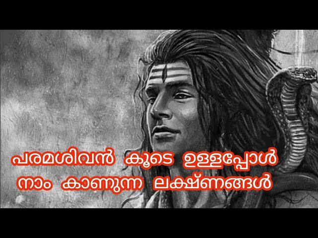 ഇലക്ഷണങ്ങൾ നിങ്ങളിൽ ഉണ്ടോ??? ഭാഗ്യം ചെയ്തവർ!