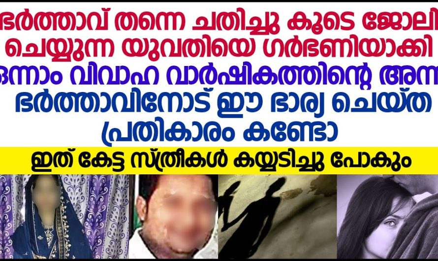 ഭർത്താവ് സ്വന്തം ഭാര്യയെ ചതിച്ചു കൂടെ ജോലി ചെയ്യുന്ന യുവതിയെ ഗർഭിണിയാക്കി! ഈ ഭാര്യ ഭർത്താവിനോട് ചെയ്ത പ്രതികാരം കണ്ടോ!