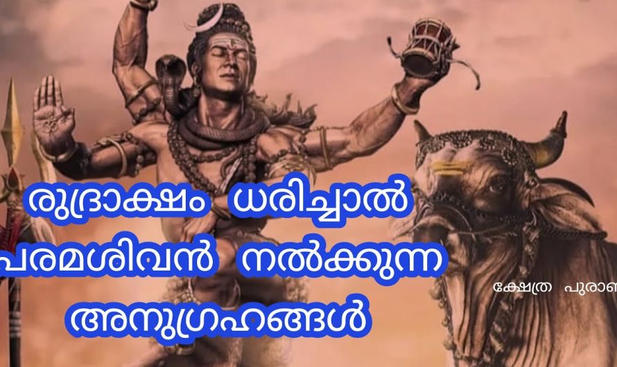 ഓം നമ:ശിവായ പരമശിവന്റെ രുദ്രാക്ഷത്തെ കുറിച്ച് ഈ കാര്യങ്ങൾ അറിയാതെ പോകരുതേ…