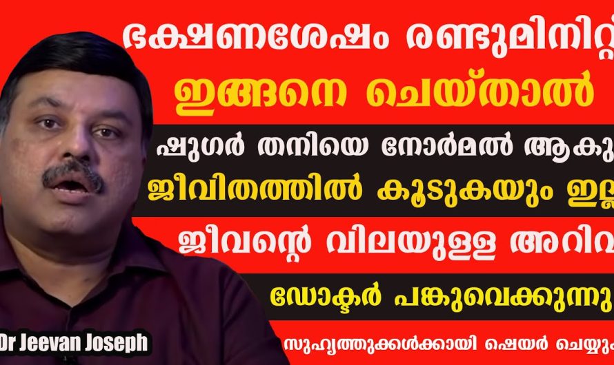 ഷുഗർ തനിയെ നോർമൽ ആകണോ??? ഭക്ഷണംശേഷം രണ്ടുമിനിറ്റ് ഇങ്ങനെ ചെയ്താൽ മതി! ജീവിതത്തിൽ കൂടുകയും ഇല്ല!