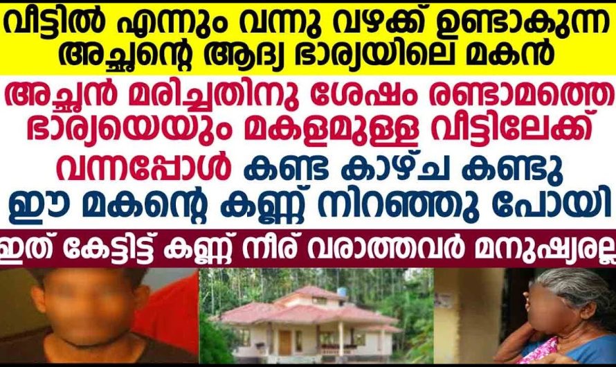 അച്ഛൻ മരിച്ചതിനുശേഷം രണ്ടാമത്തെ ഭാര്യയെയും മകളും ഉള്ള വീട്ടിലേക്ക് ആദ്യ ഭാര്യയിലെ മകൻ വന്നപ്പോൾ കണ്ട കാഴ്ച!