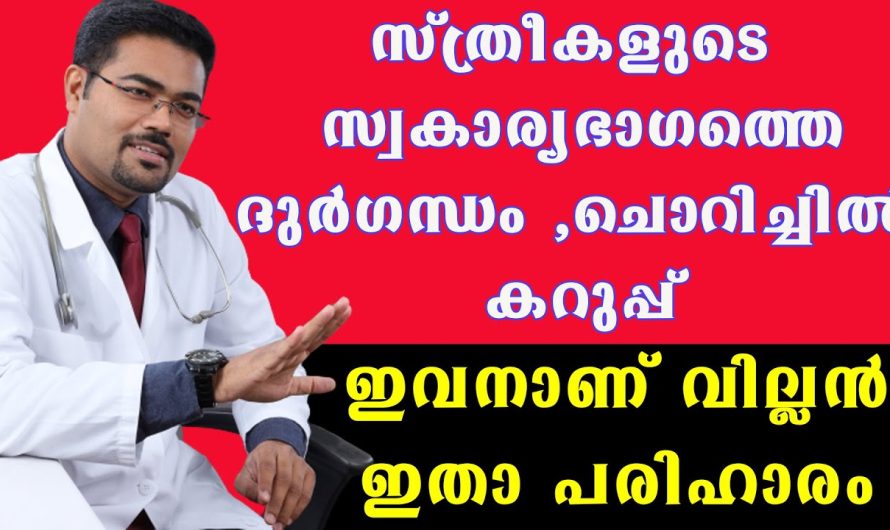 സ്ത്രീകളുടെ സ്വകാര്യഭാഗത്ത് ഇങ്ങനെ അനുഭവപ്പെടാറുണ്ടോ? ഇവനാണ് വില്ലൻ ഇതാ പരിഹാരം!