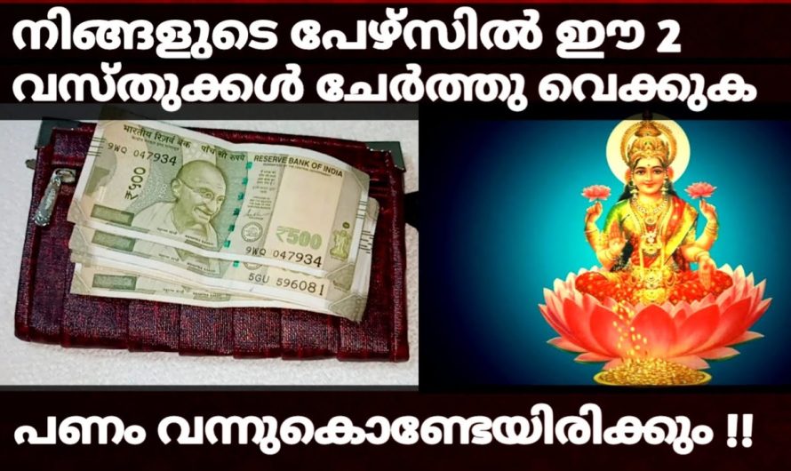 ഈ രണ്ടു വസ്തുക്കൾ പേഴ്സിൽ ചേർത്തുവയ്ക്കുക…  പണം വന്നുകൊണ്ടേയിരിക്കും!!!