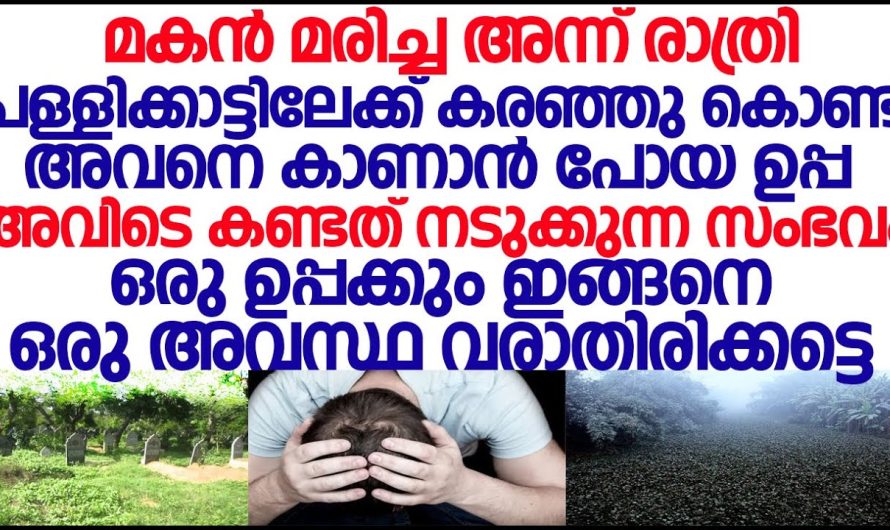 മകൻ മരിച്ച അന്ന് രാത്രി പള്ളിക്കാട്ടിലേക്ക് കരഞ്ഞുകൊണ്ട് അവനെ കാണാൻ പോയ ഉപ്പ അവിടെ കണ്ടത് നടക്കുന്ന സംഭവം!